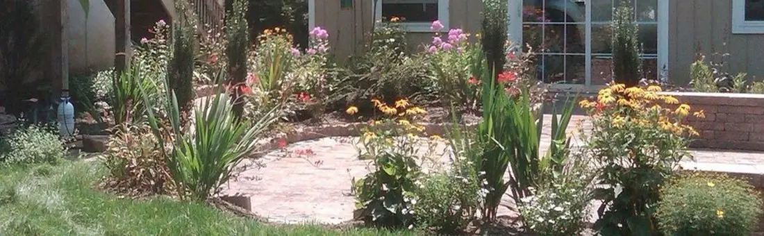 Native plants patio entrance.jpg